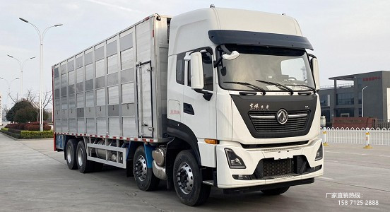 �����|�L(f��ng)����ǰ�ĺ���X�Ͻ������\(y��n)ݔ܇